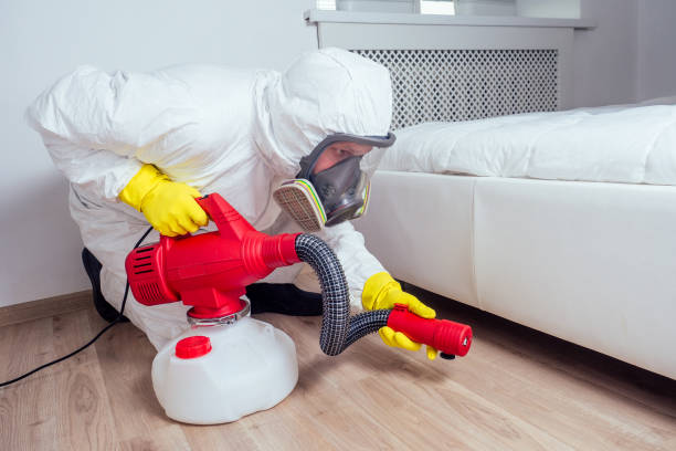 Best Pest Removal Services  in Loyal, WI