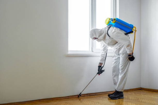 Pest Control Cost in Loyal, WI