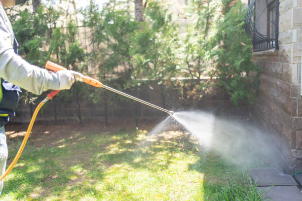 Best Flea Control Services  in Loyal, WI