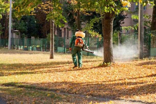 Best Pest Control for Homes  in Loyal, WI