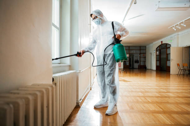 Best Rat Extermination Near Me  in Loyal, WI