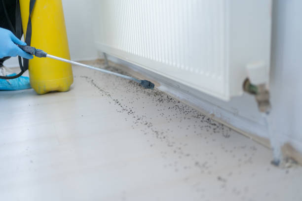 Best Bed Bug Extermination  in Loyal, WI