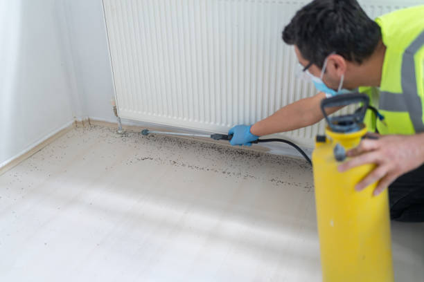 Best Best Pest Control Companies  in Loyal, WI