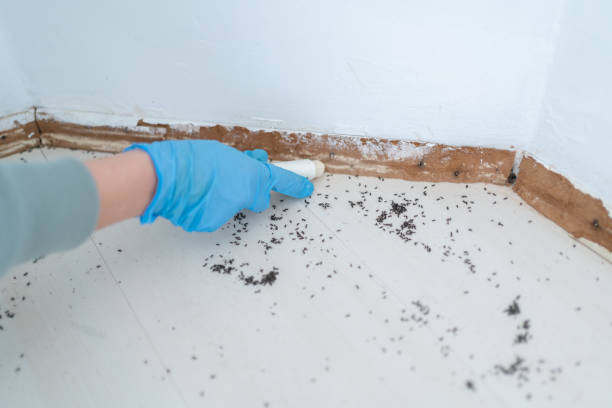 Best Residential Pest Control  in Loyal, WI