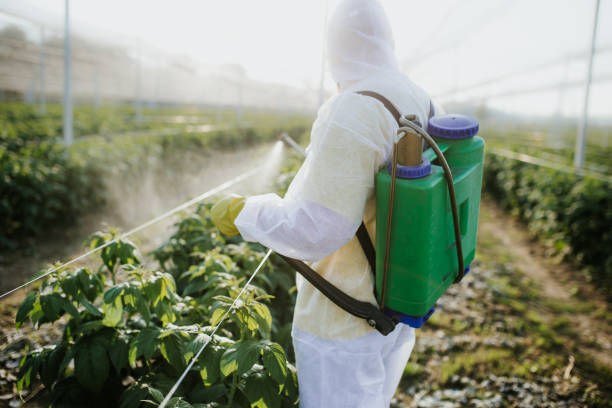 Best Wildlife Control Services  in Loyal, WI